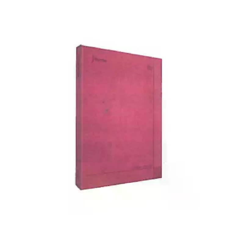 CUADERNO NORMA EJECUTIVO DAILY NOTES MEDIANO 100H