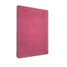 CUADERNO NORMA EJECUTIVO DAILY NOTES MEDIANO 100H