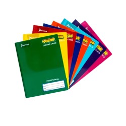 CUADERNO NORMA PROF. COLOR 360 COSIDO CUADRO 5 C/100H