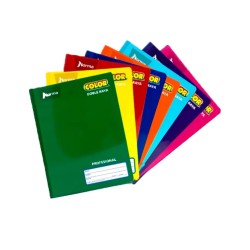 CUADERNO NORMA PROF. COLOR 360 COSIDO DOBLE RAYA C/100H