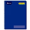 CUADERNO NORMA PROFESIONAL COLOR ESPIRAL RAYA C/100H