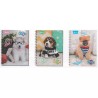 CUADERNO NORMA PROF. DOGS RAYA C/100H